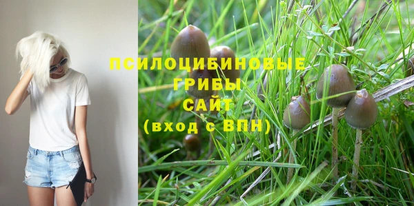 мяу мяу мука Абинск