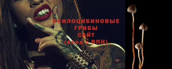спайс Алзамай