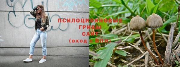 мяу мяу мука Абинск