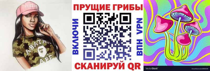 закладка  blacksprut как войти  Галлюциногенные грибы мицелий  Темников 